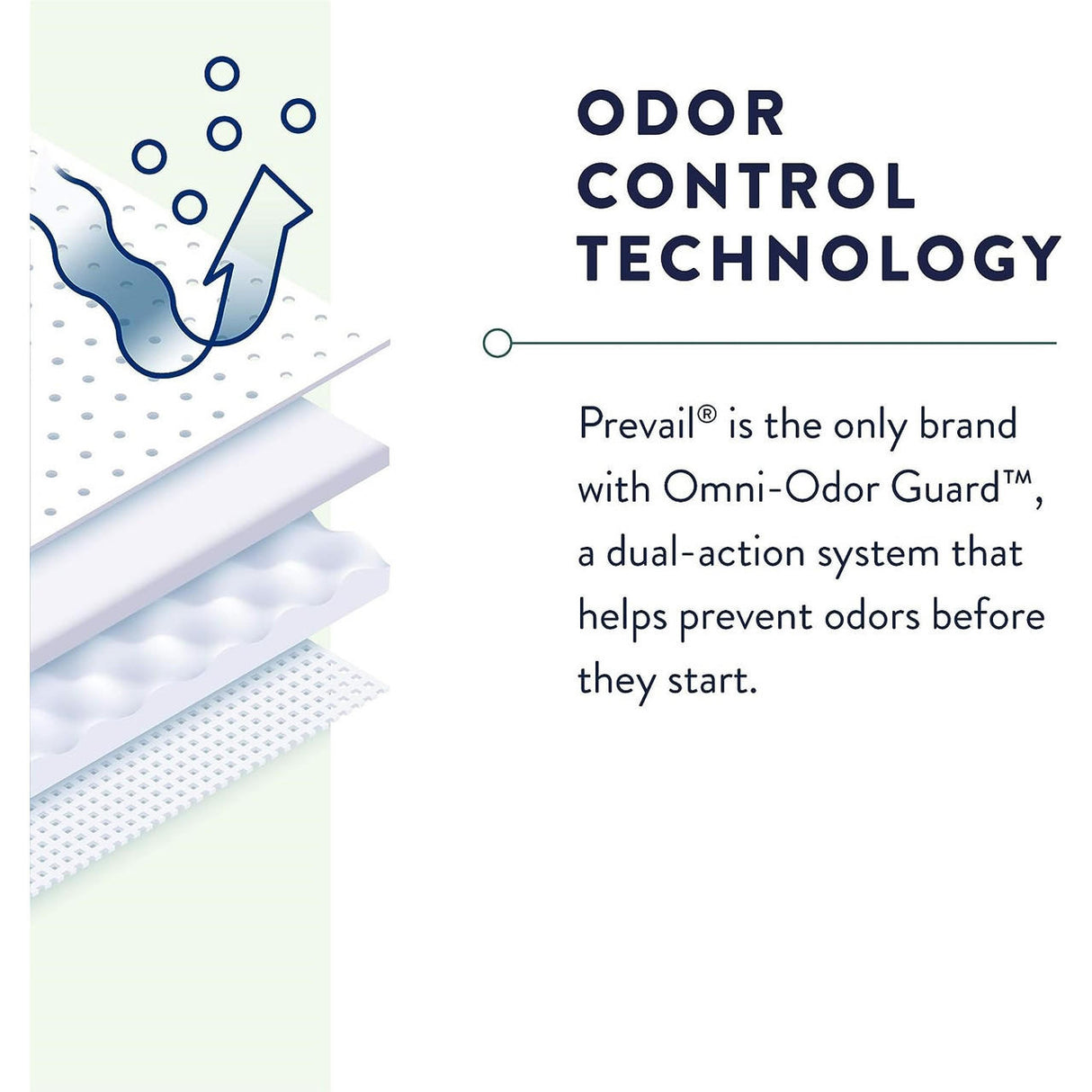 Prevail Daily Underwear, Extra Absorbency