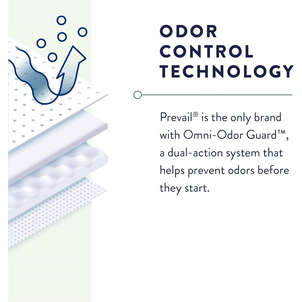 Prevail Maximum Absorbency Underwear